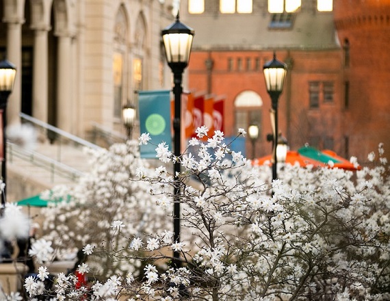 Flowers blossom on the trees in front of Memorial Union on an early spring evening at the University of Wisconsin–Madison on April 13, 2023. (Photo by Taylor Wolfram / UW–Madison)