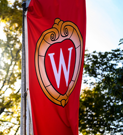 A red flag the UW crest flies in front of trees. 