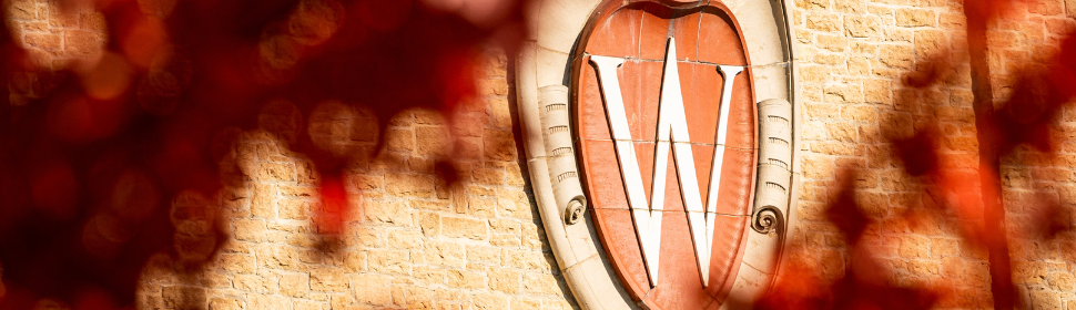 A red W crest is against a light brown brick wall.